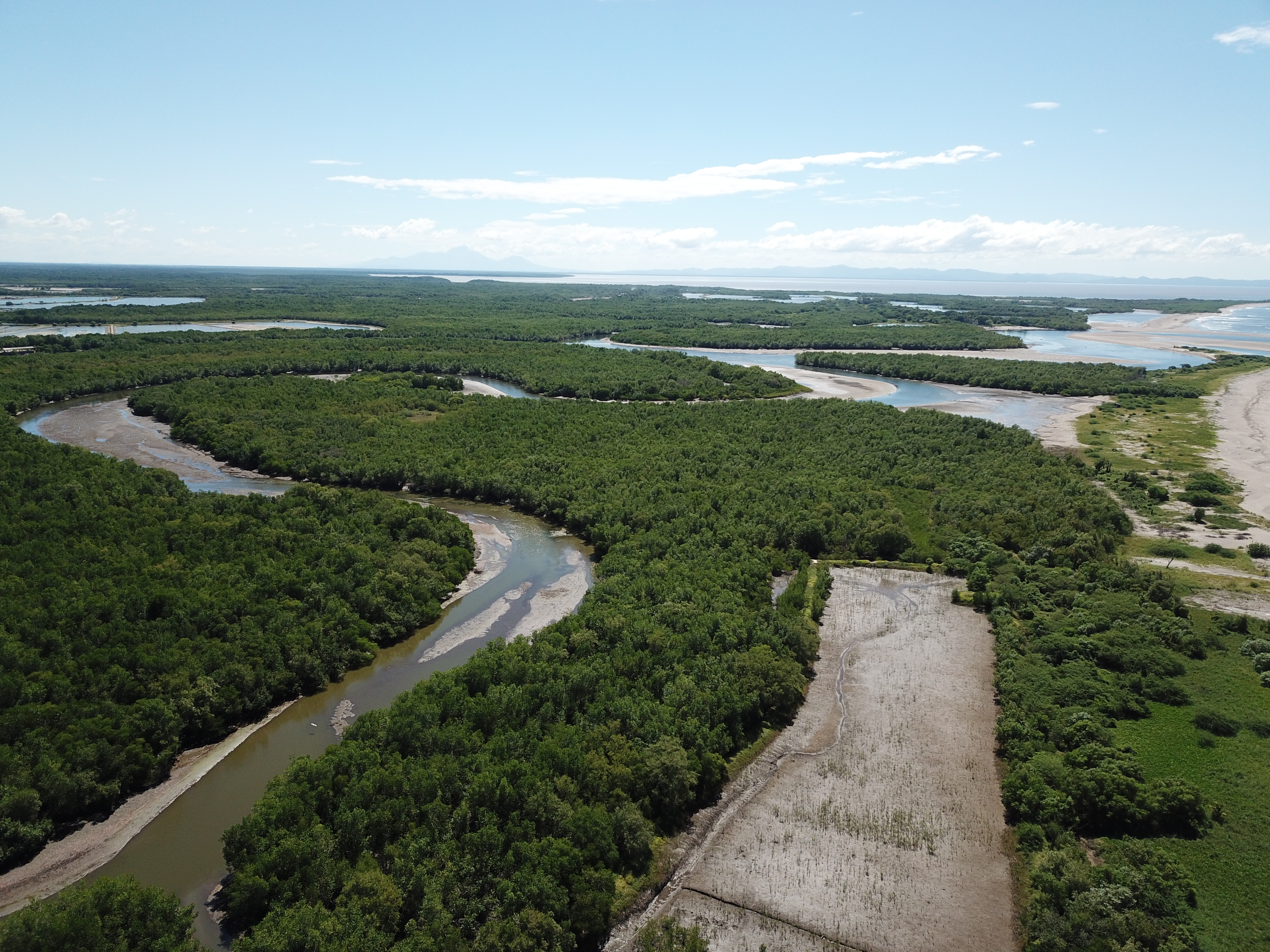 Bahia de San Lorenzo 